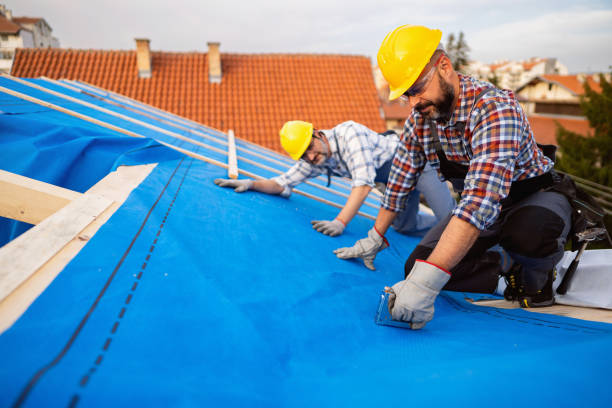 Best Storm Damage Roof Repair  in Robie Creek, ID